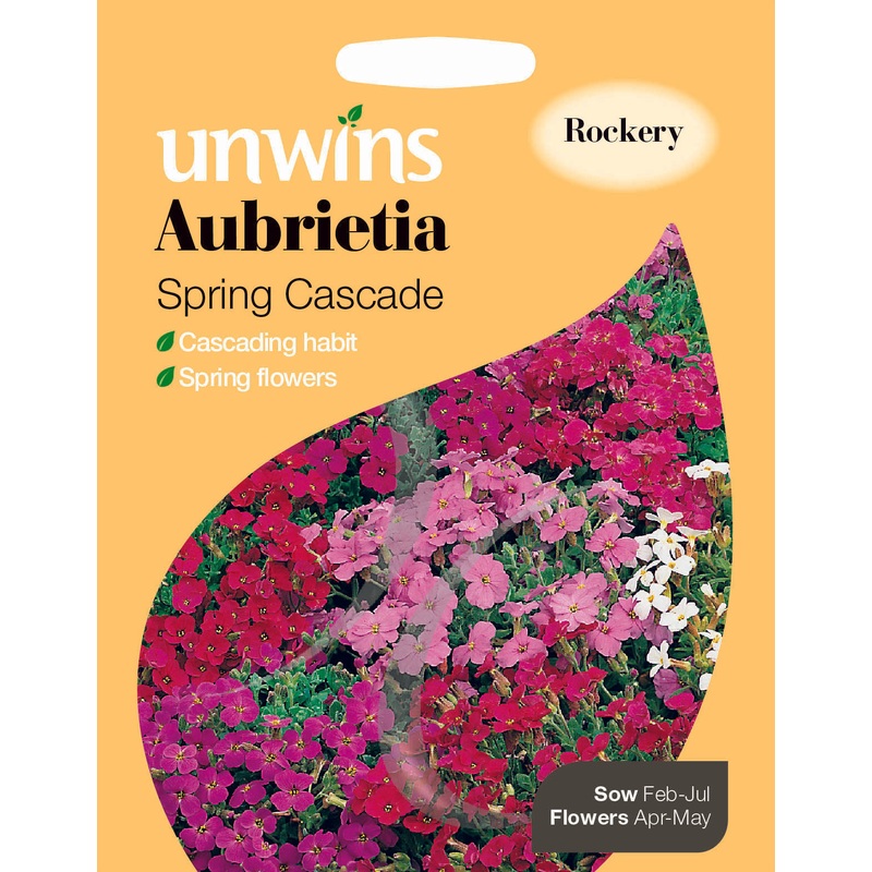 Aubrietia Spring Cascade