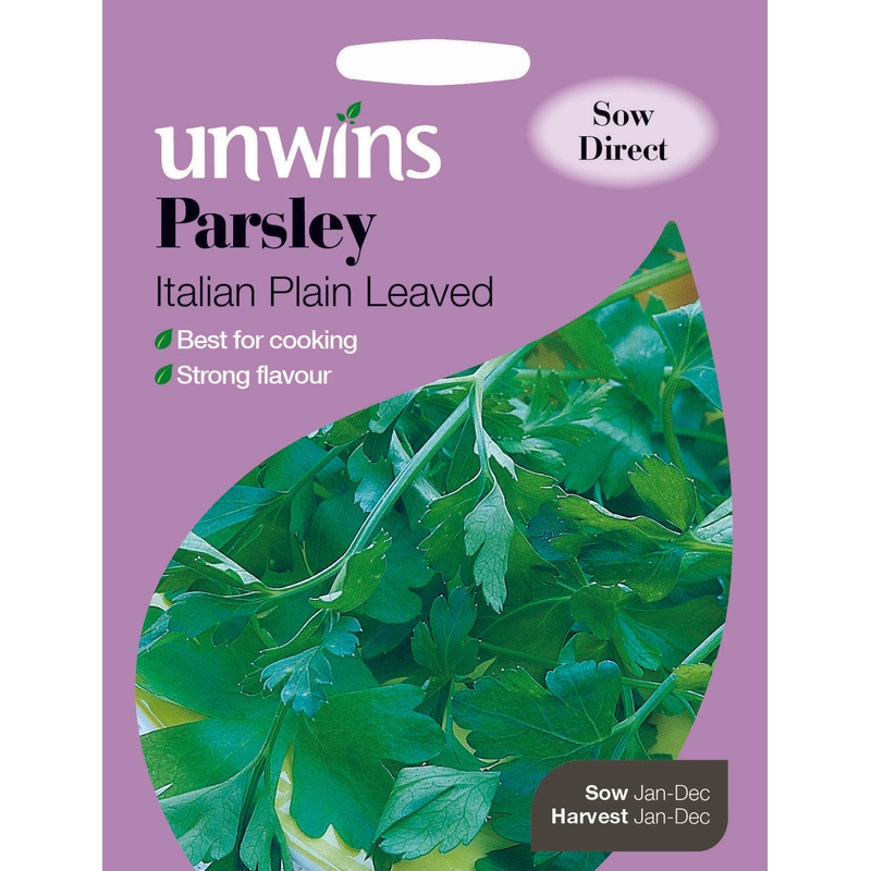 Herb Parsley Italian Plain Leaved