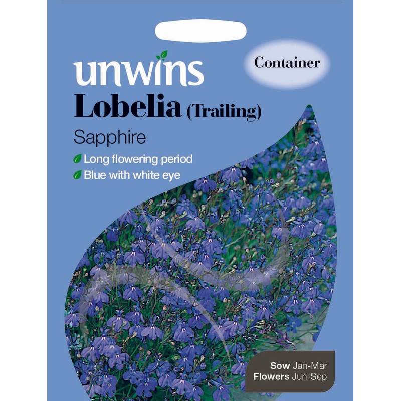 Lobelia Trailing Sapphire