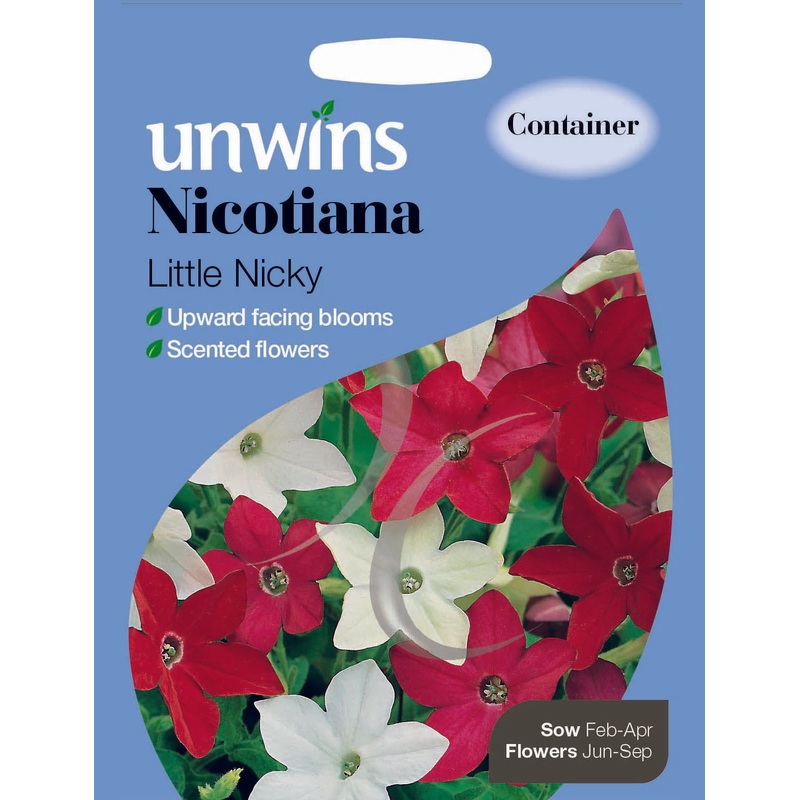 Nicotiana Little Nicky