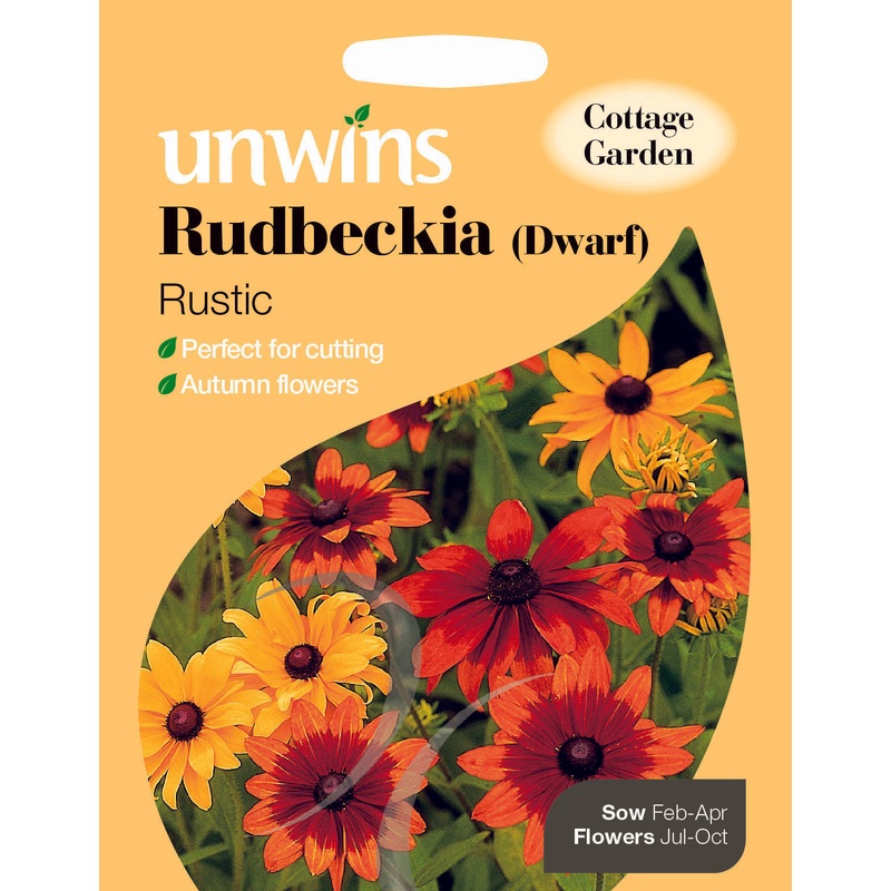 Rudbeckia Dwarf Rustic