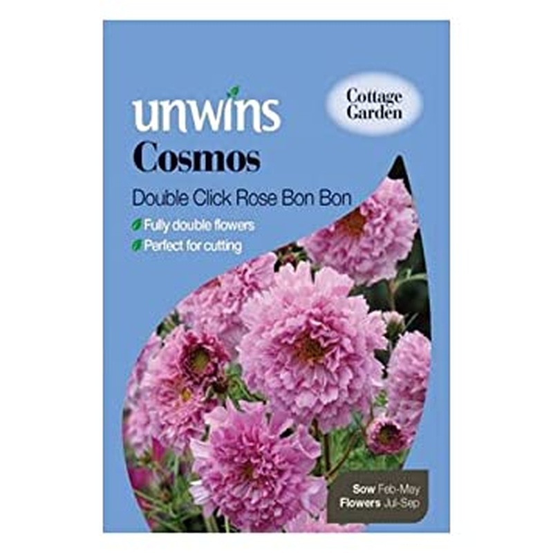 Cosmos Double Click Rose Bon Bon