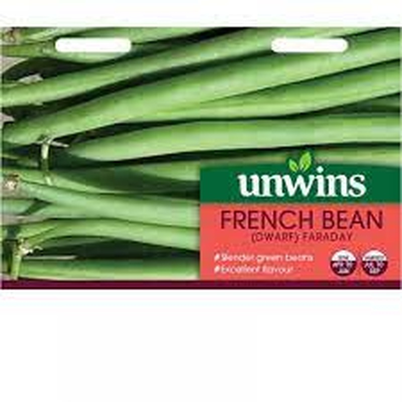 French Bean (Dwarf) Faraday