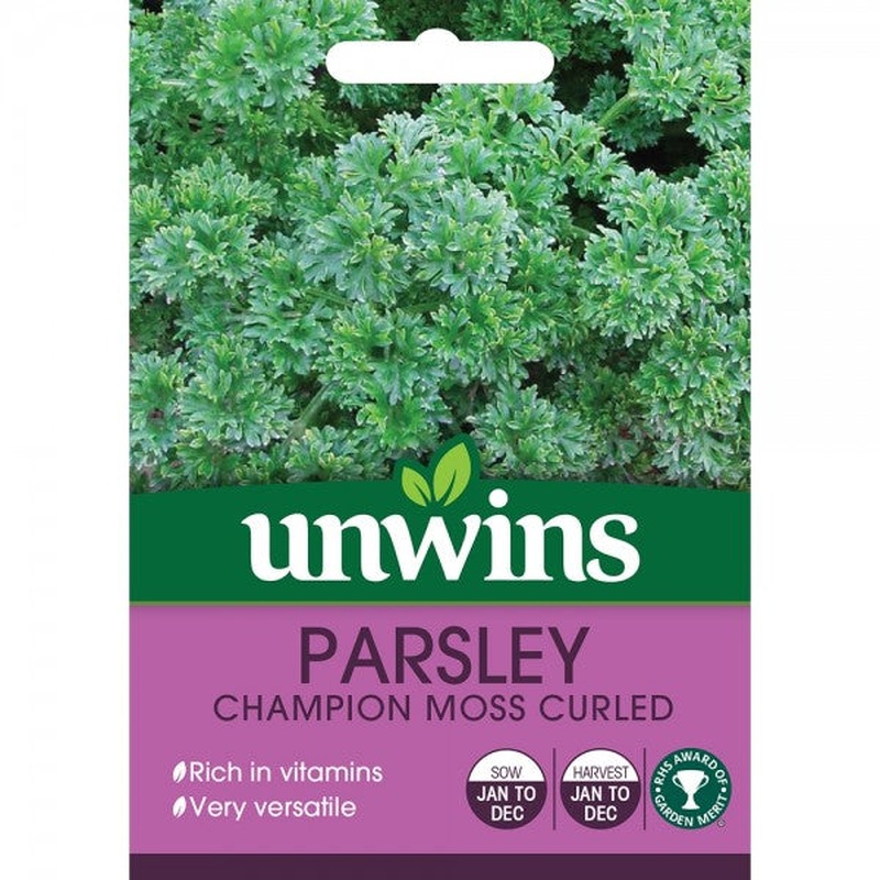 Herb Parsley Champion Moss Curled