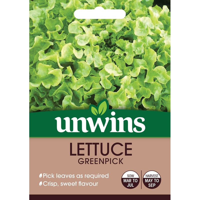Lettuce (Loose) Greenpick