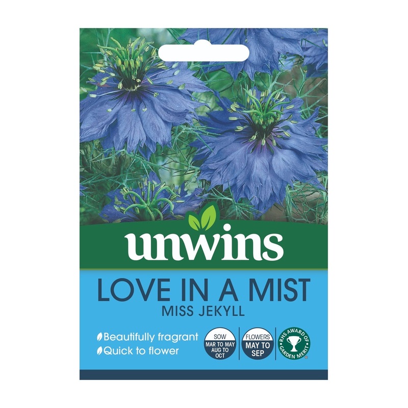 Love In A Mist Miss Jekyll