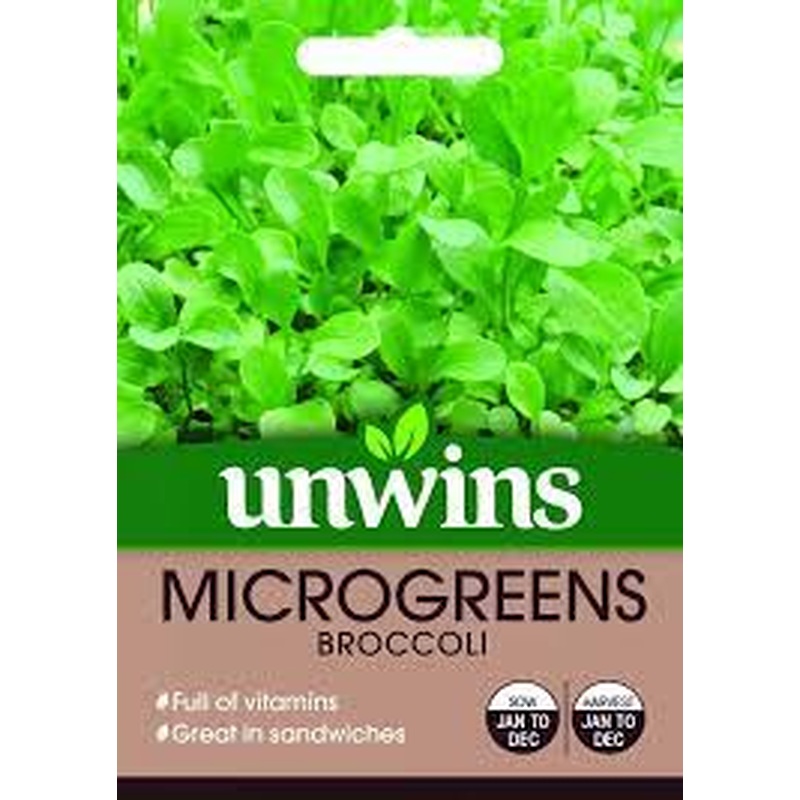 MicroGreens Broccoli