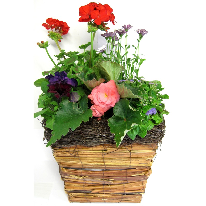 Oval Planter