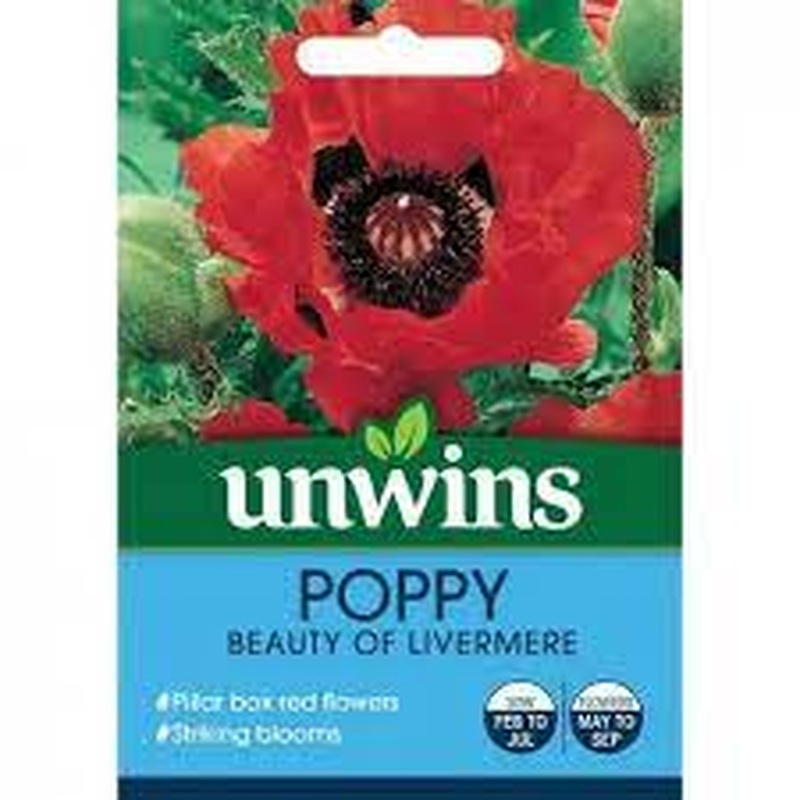 Poppy Beauty of Livermere