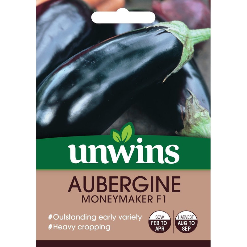 Aubergine Moneymaker F1
