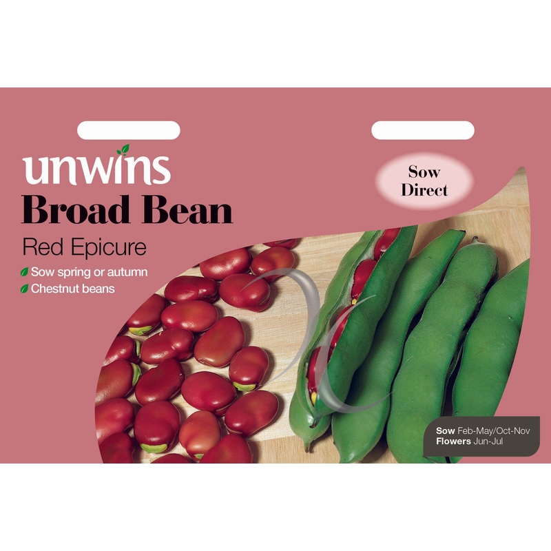 Broad Bean Red Epicure
