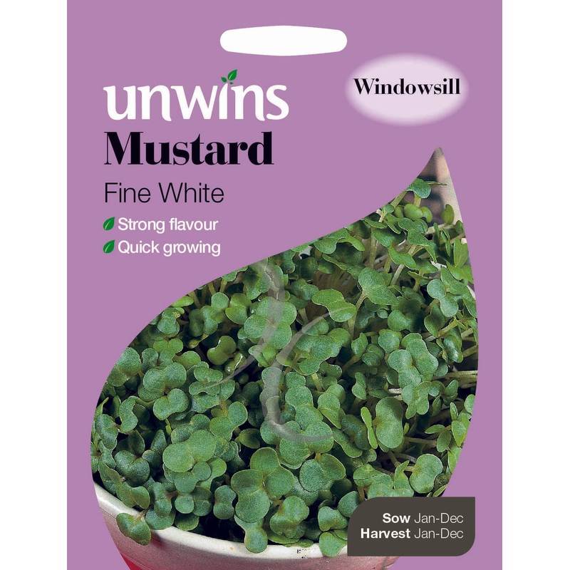 Herb Mustard Fine White