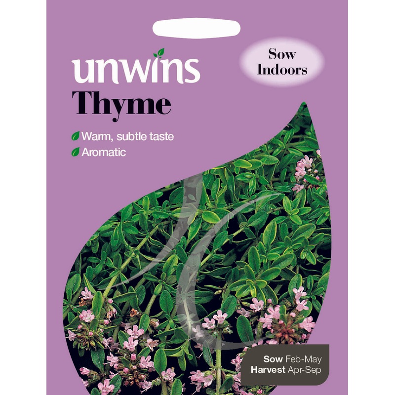 Herb Thyme