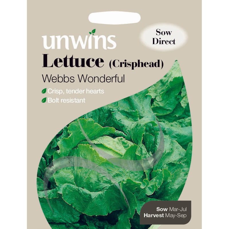 Lettuce (Crisphead) Webbs Wonderful