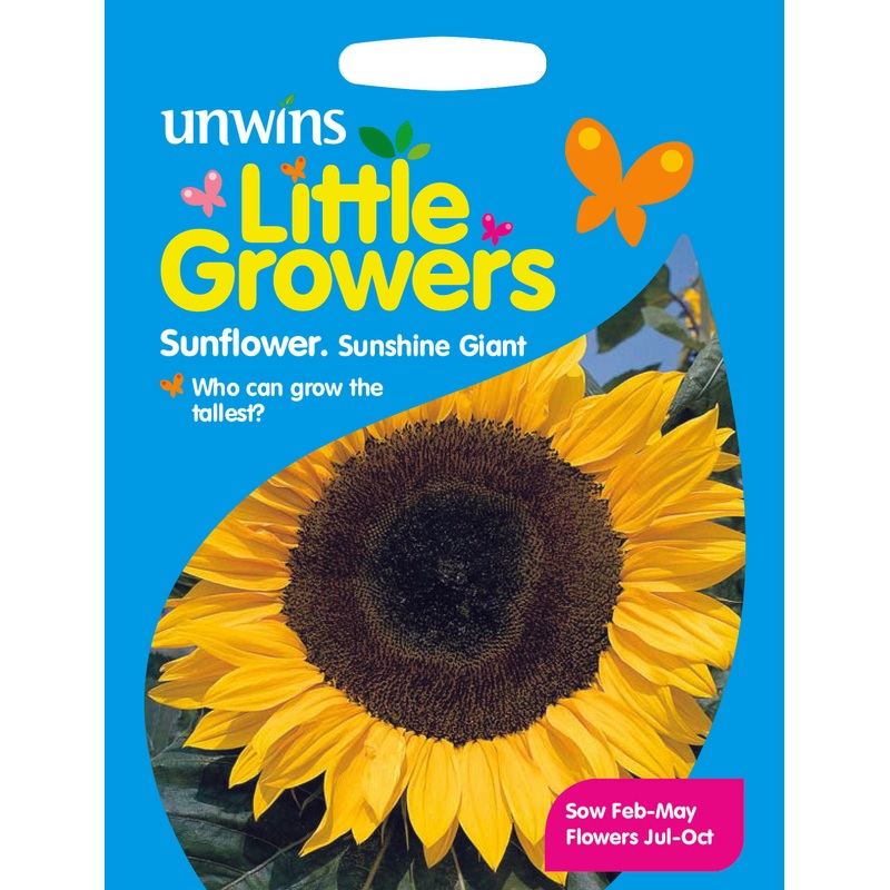Little Growers Sunflower Sunshine Giant