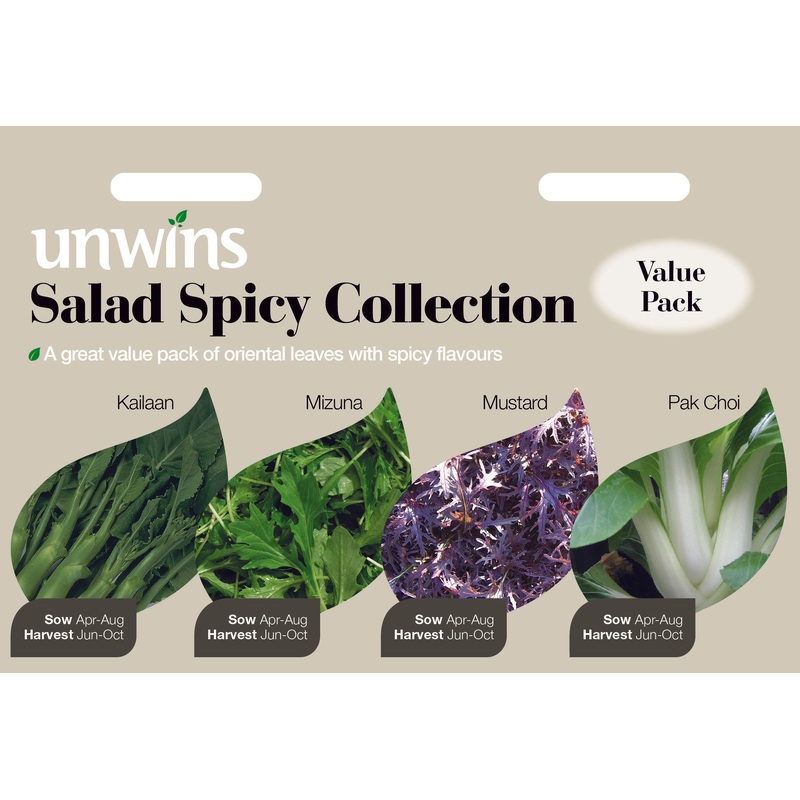 Salad Spicy Collection
