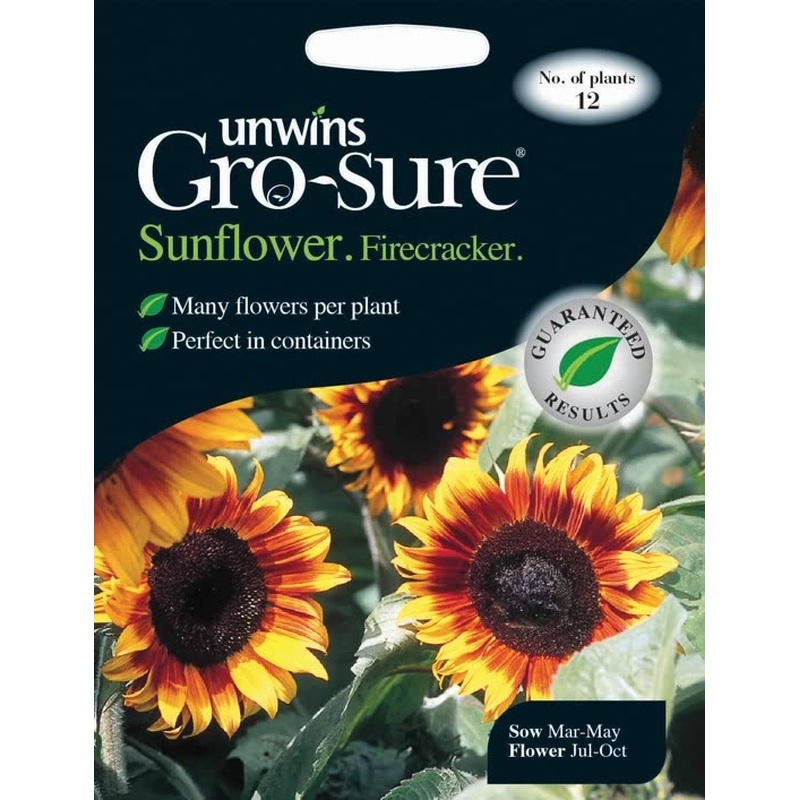 Sunflower Firecracker F1