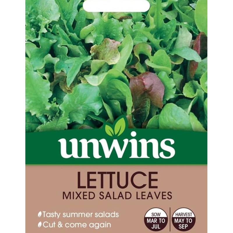 Lettuce (Leaves) Mixed Salad Leaves