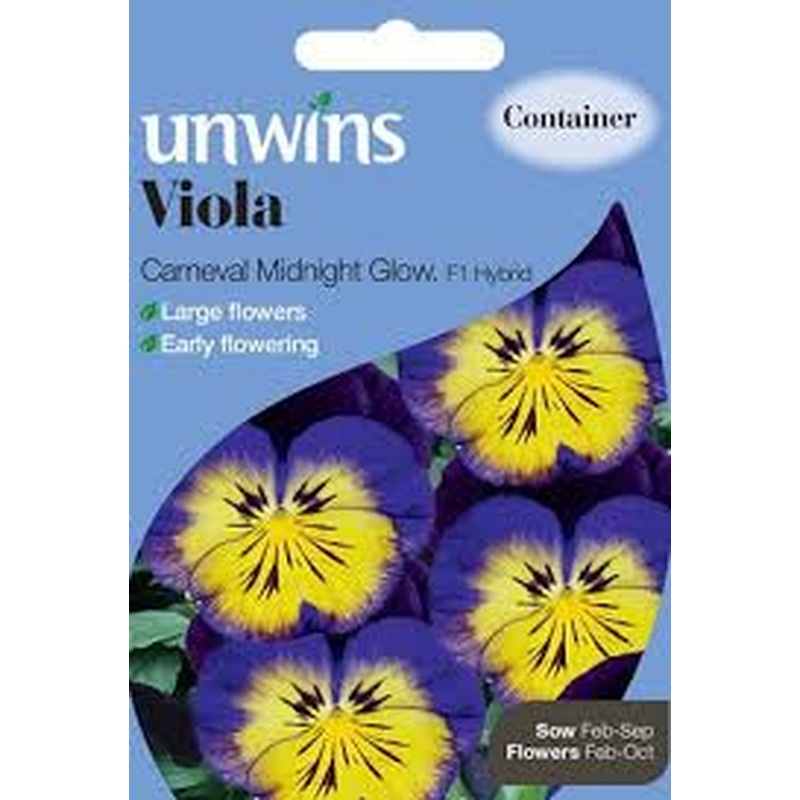 Viola Carneval Midnight Glow F