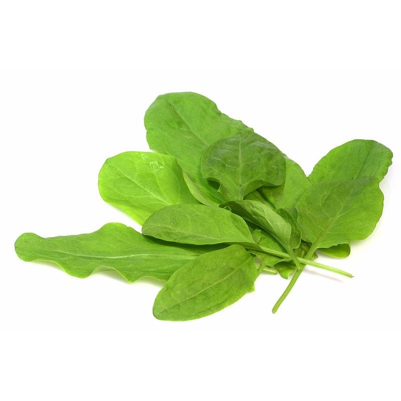 Sorrel, broadleafed