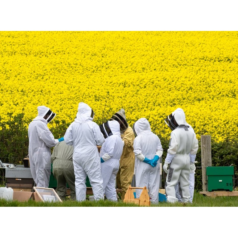 OpenHive x Windyridge Beekeeping Experience -  Sat 27th July 2024