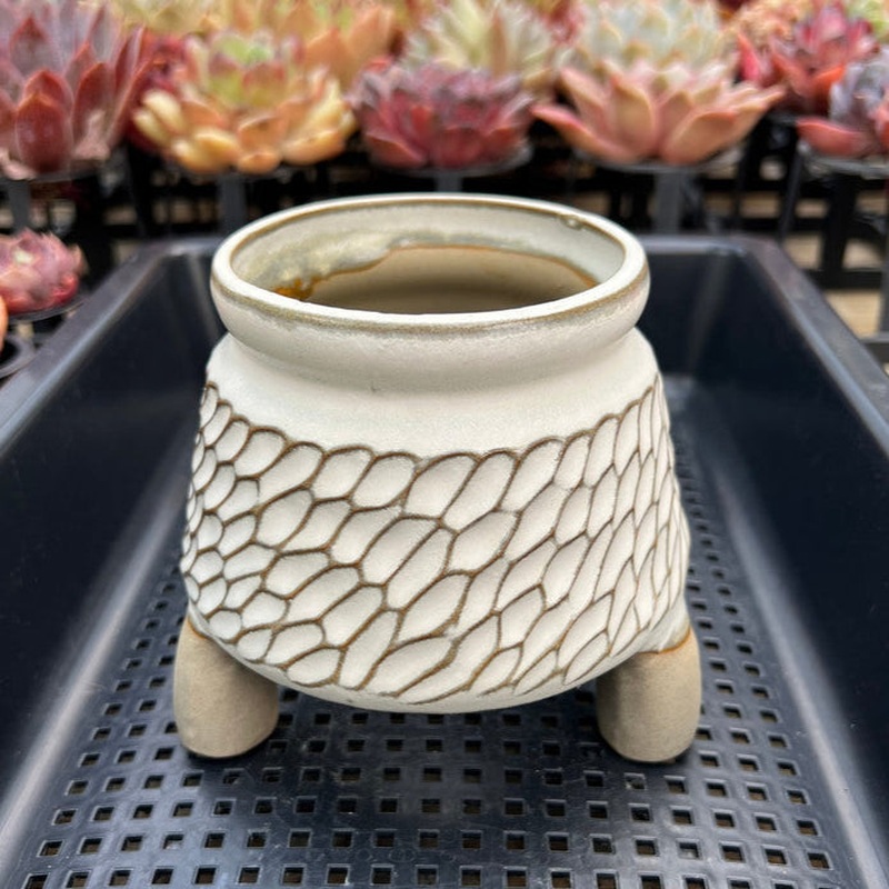 White Handmade Ceramic Succulent Pot Approximately 3.5