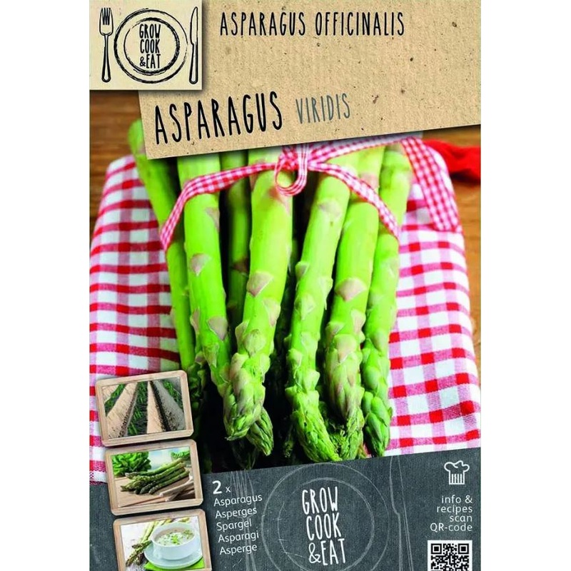 ASPARAGUS VIRIDIS  BIO x 1