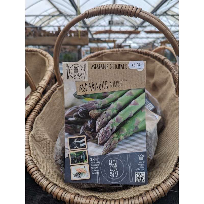 ASPARGUS VIRIDIS 1
