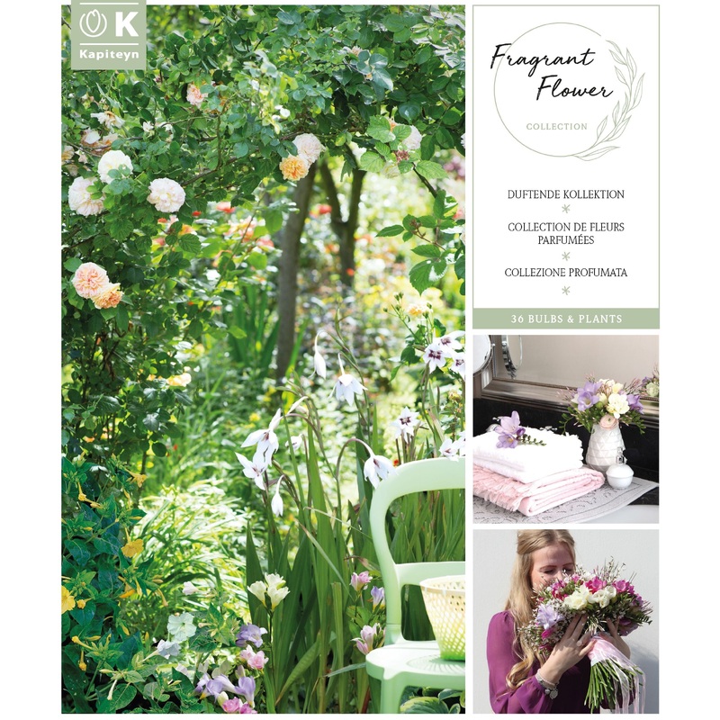 BAG RELAXING FRAGRANCES X30