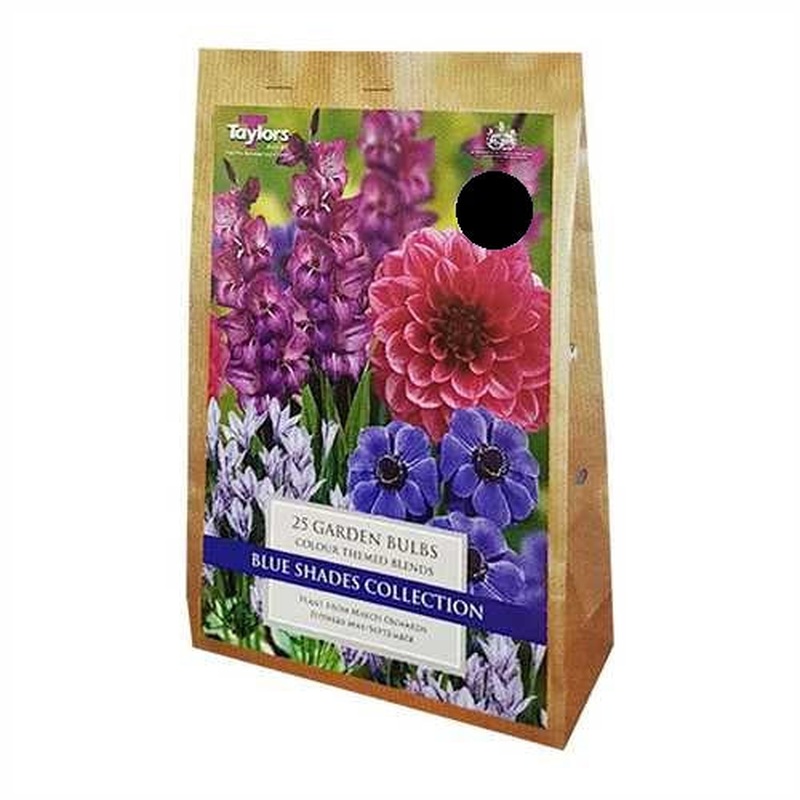 BLUE SHADES COLLECTION VALUE BAGS X 25