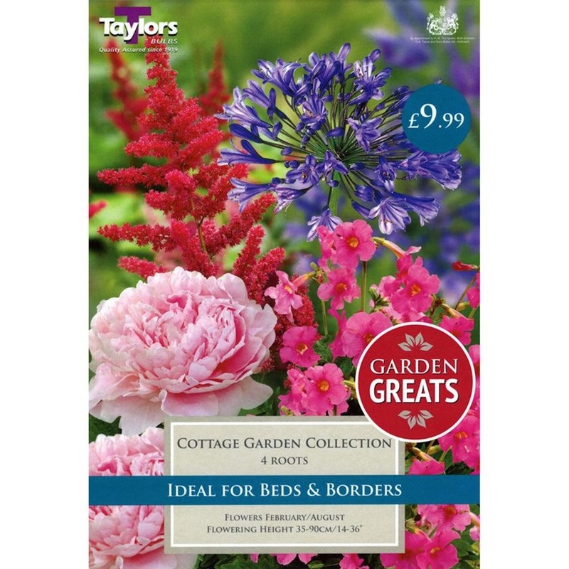COTTAGE GARDEN COLLECTION X 4