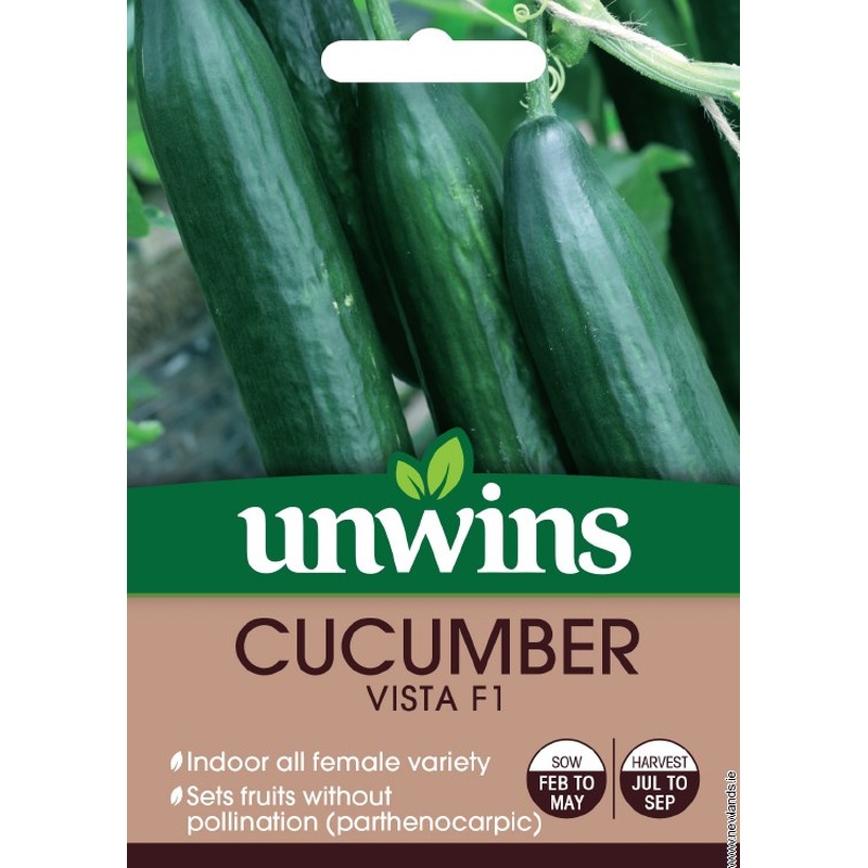Cucumber Vista F1 (Recommended)