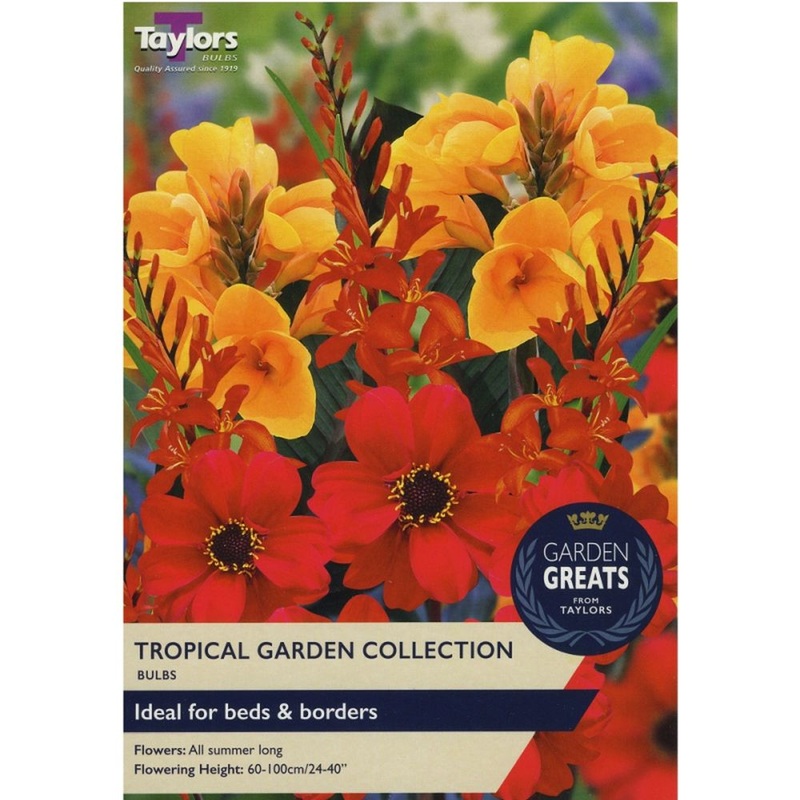 TROPICAL GARDEN COLLECTION X 15