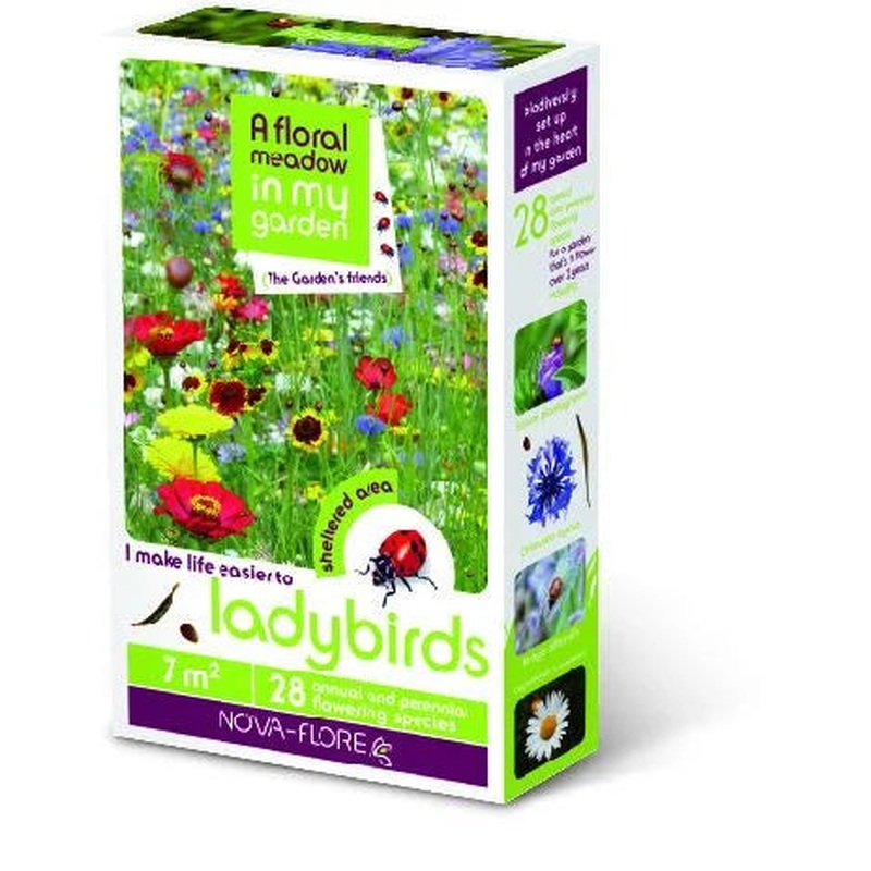 A Floral Meadow - LADYBIRDS 30sqm FLOWERS