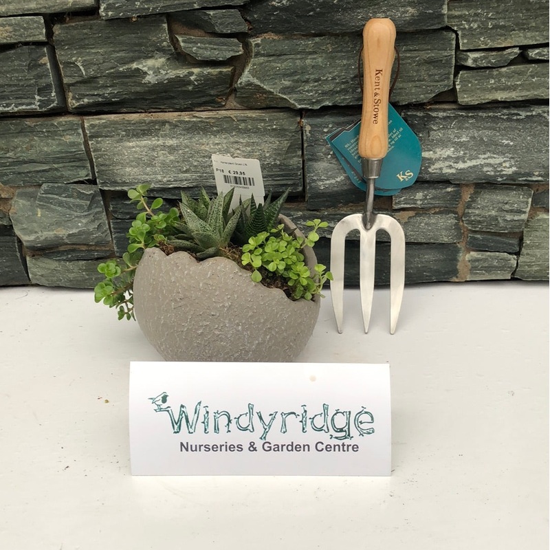 Arr. Houseplant Green Globe 18cm