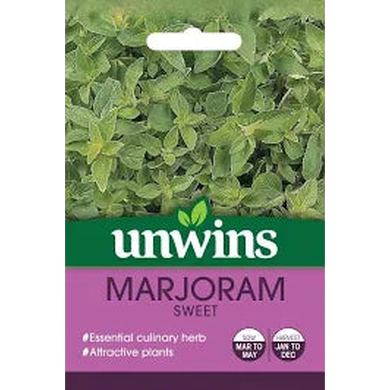 Herb Marjoram Sweet
