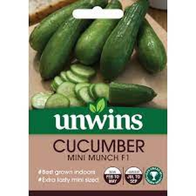 Cucumber Mini Munch F1