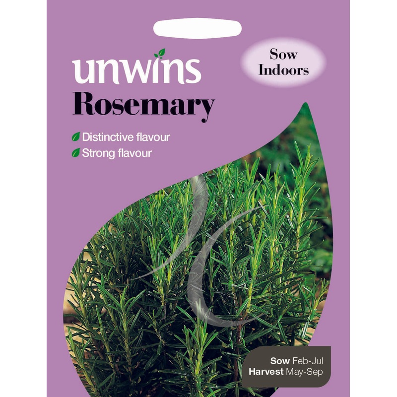 Herb Rosemary
