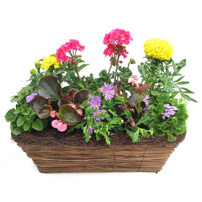Rattan Trough Medium 42cm