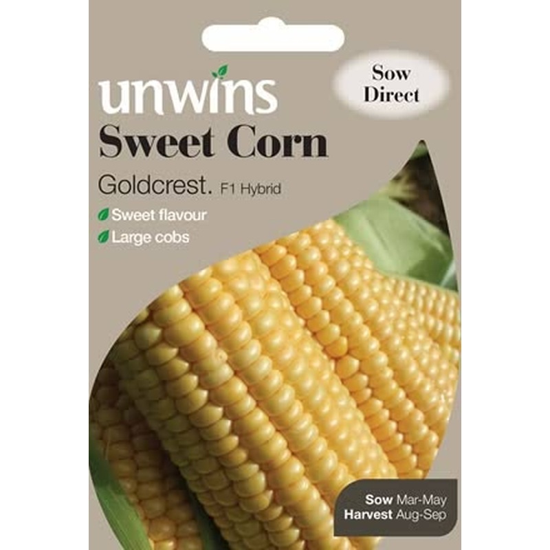 Sweetcorn Goldcrest
