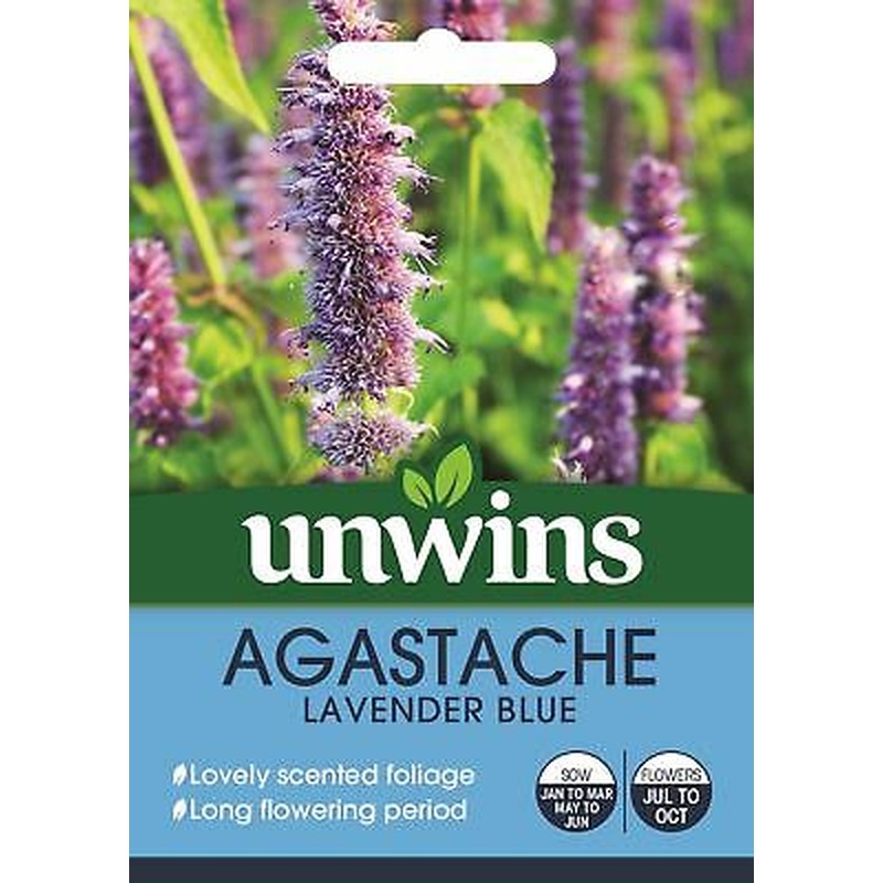Agastache Lavender Blue