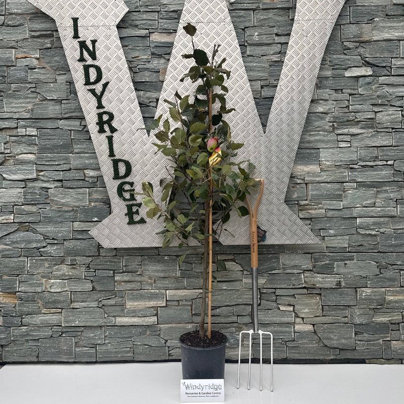 APPLE JAMES GRIEVE Std 10ltr 2 YR BUSH 10Ltr