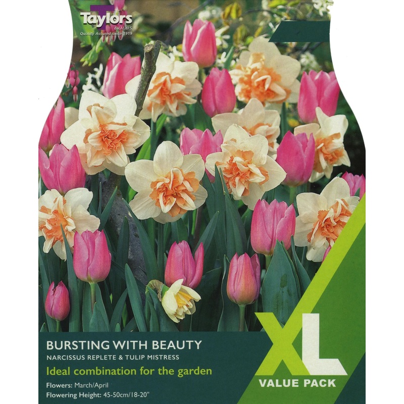 BURSTING WITH BEAUTY 10