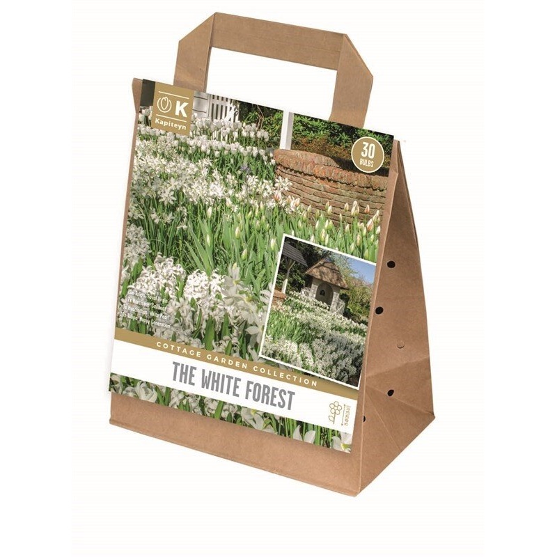 COTTAGE GARDEN WHITE FOREST X 30