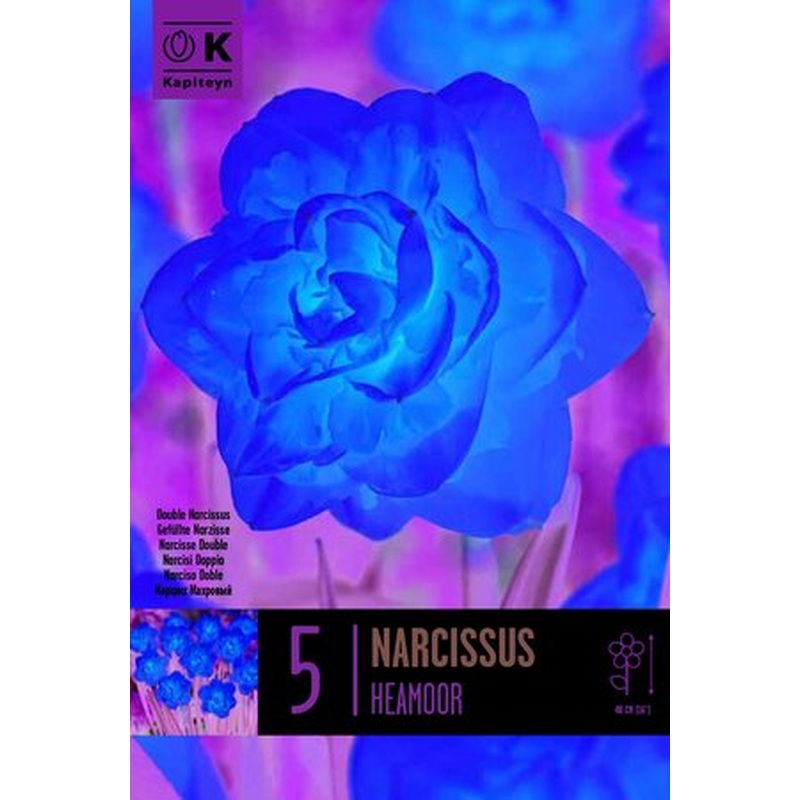 PREM NARCISSUS DBL HEAMOOR X 5