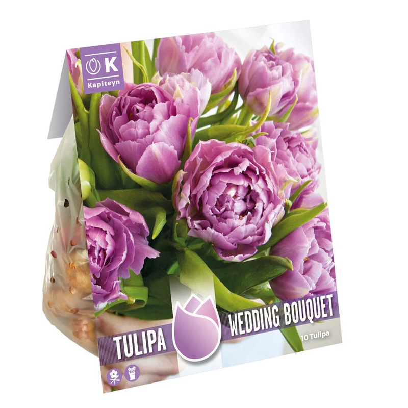TULIPA WEDDING BOUQUET x 8