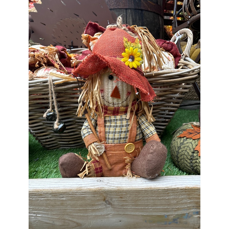 SCARECROW DUMPY ASSORTED DESIGNS