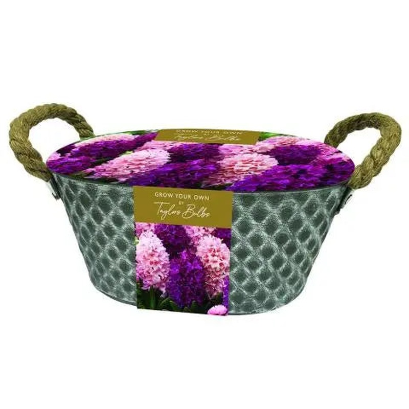 OUTDOOR HYACINTH METAL TROUGH X 6