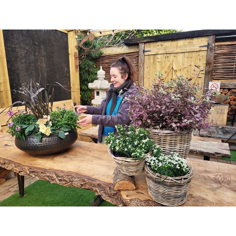 Windyridge Gardening for Beginners 2026 Tuesday Morning 10am (6 Week Course starts 3rd March)