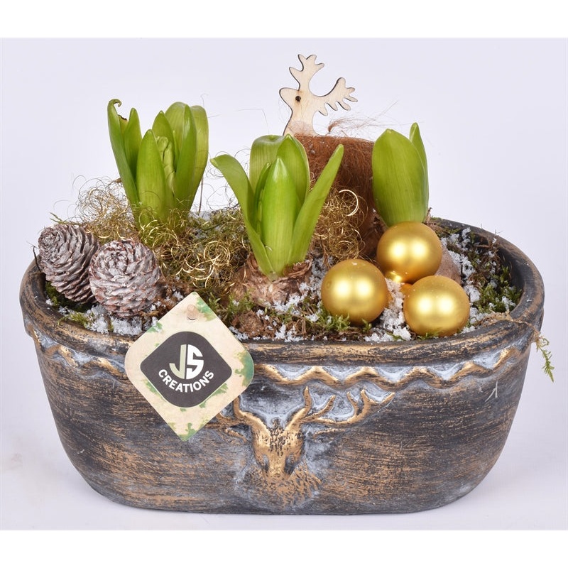 Arr. Hyacinthus Cement oval reindeer head 24x14.5